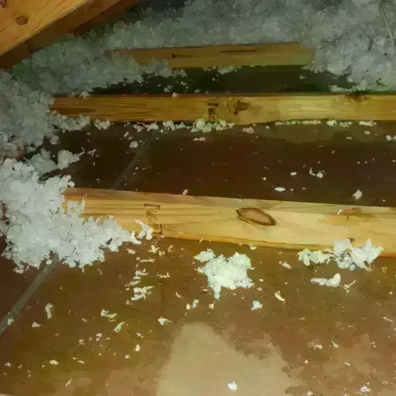 Attic Water Damage in Mango, FL