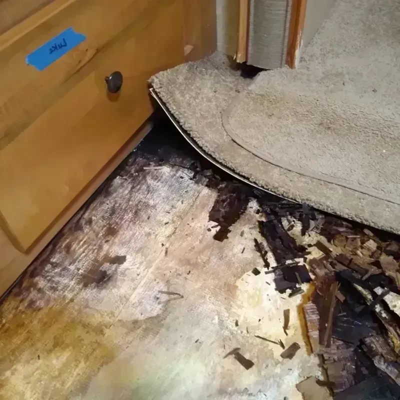 Wood Floor Water Damage in Mango, FL